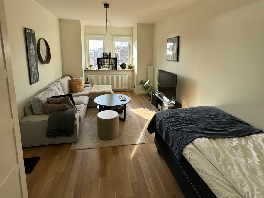 Vardagsrum med soffa och säng i modern etta på Vattugatan 4 i Halmstad