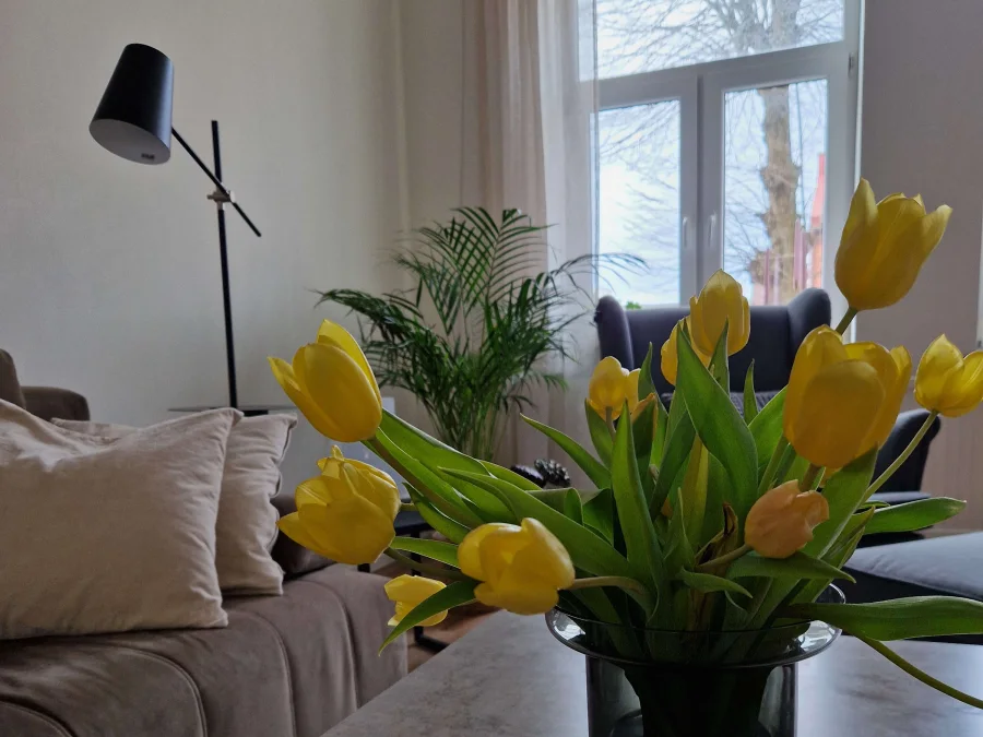 Modernt inredd tvåa på Vattugatan 4 i Halmstad