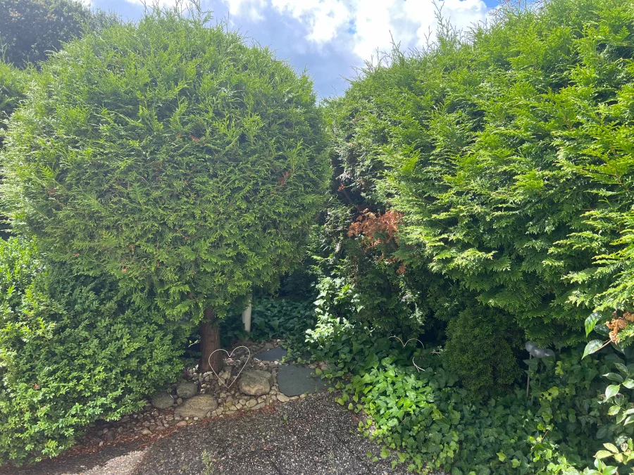 Privat trädgård i mysig trea på Hantverksgatan i Halmstad